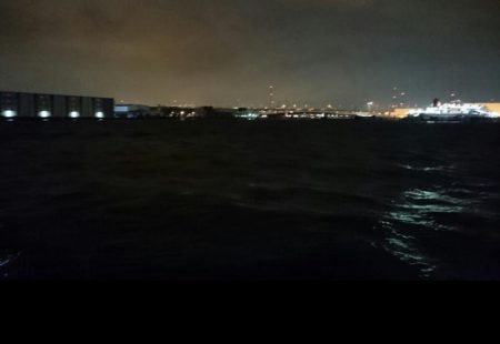 ◯タチウオ調査