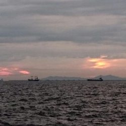 ◯サビキ&タチウオ