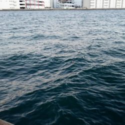 ◯極寒タチウオ釣り