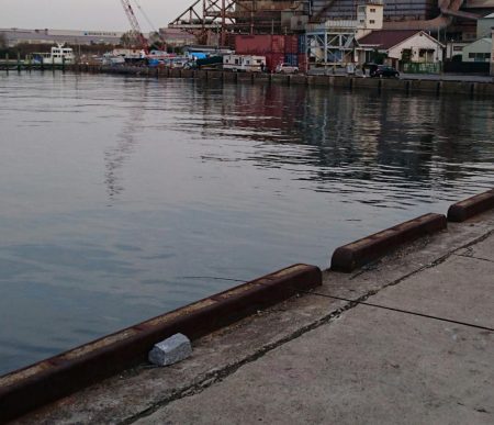 湾奥タチウオ完全復活!!