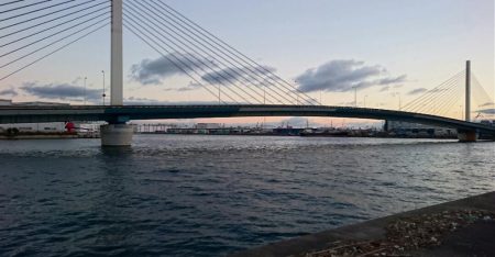 ⚫かもめ大橋タチウオ調査