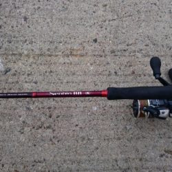 ◯湾奥タチウオも終了か！？