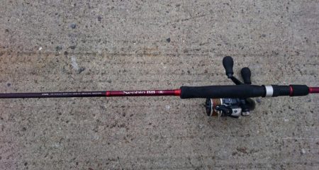 ◯湾奥タチウオも終了か！？