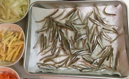 今シーズン初のワカサギ釣行