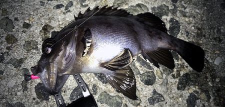 海釣り　初心者にも分かる釣り方紹介　ルアー釣り編