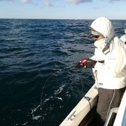 IDATEN（イダテン） 釣果