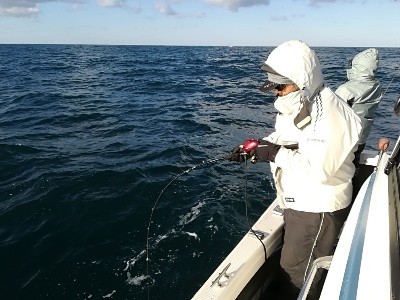 IDATEN（イダテン） 釣果