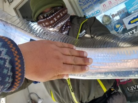 遊漁船　ニライカナイ 釣果