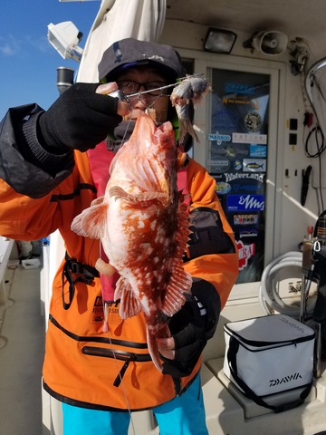 遊漁船　ニライカナイ 釣果