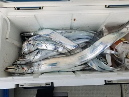 遊漁船　ニライカナイ 釣果