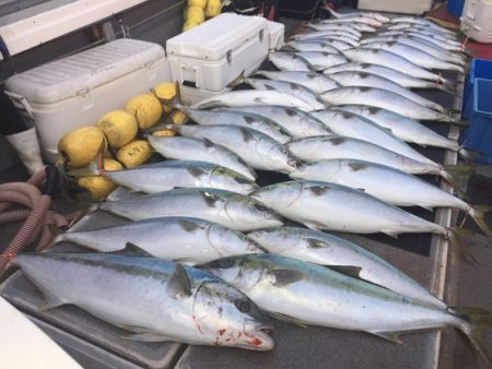 幸風（さちかぜ） 釣果