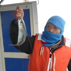 フィッシング太陽 釣果