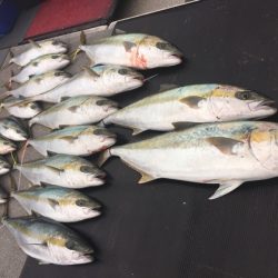 幸風（さちかぜ） 釣果