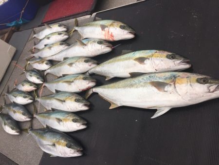 幸風（さちかぜ） 釣果