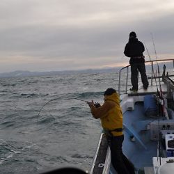 八海丸 釣果