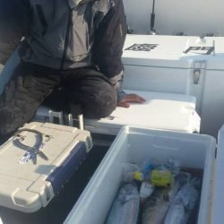 第五慶門丸 釣果