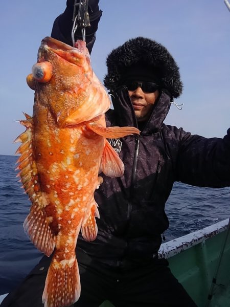 遊漁船 新鋭丸 釣果