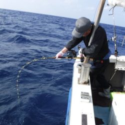 オーシャンパイオニア 釣果
