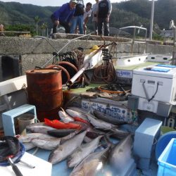 オーシャンパイオニア 釣果