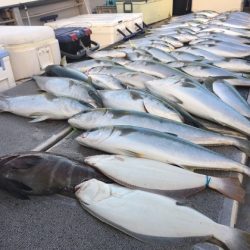 幸風（さちかぜ） 釣果