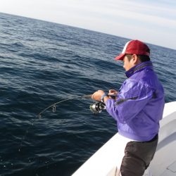 BlueNote Fishing Taxi 釣果