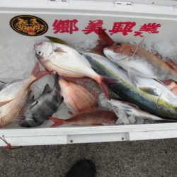 大進丸（新潟） 釣果