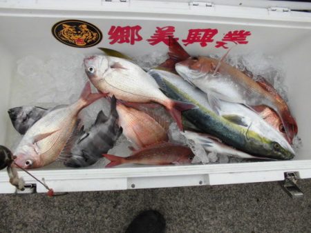 大進丸（新潟） 釣果