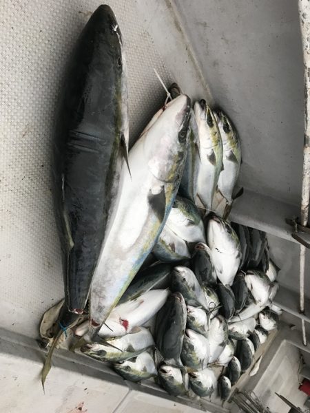 寿裕 （YOSHIHIRO） 釣果