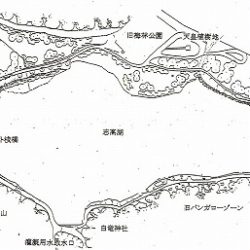 志高湖フィッシング 釣果