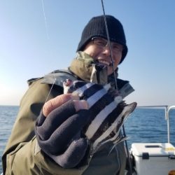 Magic（マジック） 釣果