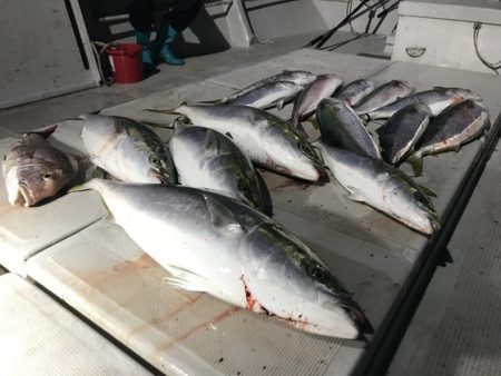 寿裕 （YOSHIHIRO） 釣果