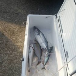 第五慶門丸 釣果