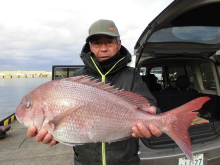 大進丸（新潟） 釣果