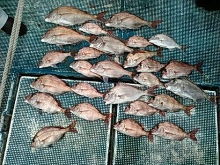 フィッシングガイド りょう 釣果