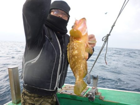 真祐丸 (しんゆうまる) 釣果