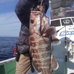 遊漁船 新鋭丸 釣果