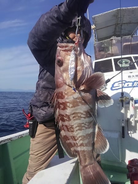 遊漁船 新鋭丸 釣果