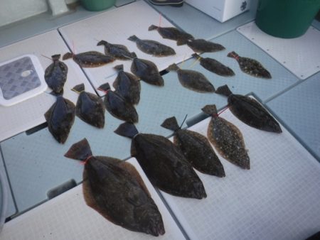 遊漁船 幸友丸 釣果