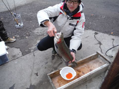 すそのフィッシングパーク 釣果