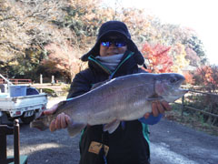 すそのフィッシングパーク 釣果