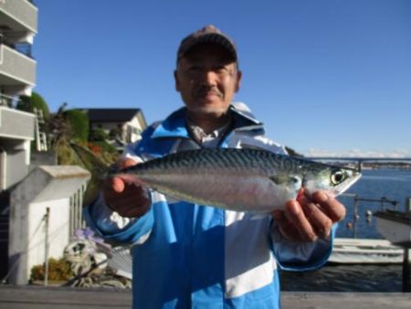あい川丸 釣果