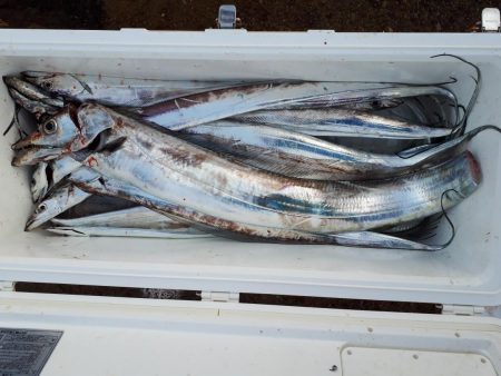 釣り船くわだ 釣果