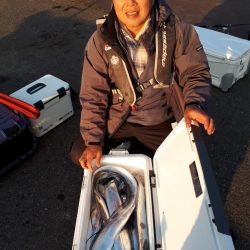 釣り船くわだ 釣果