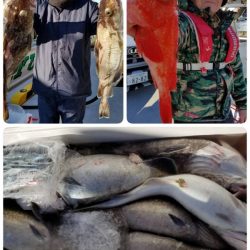 第三隆栄丸 釣果