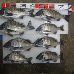 のとじま臨海公園海づりセンター 釣果