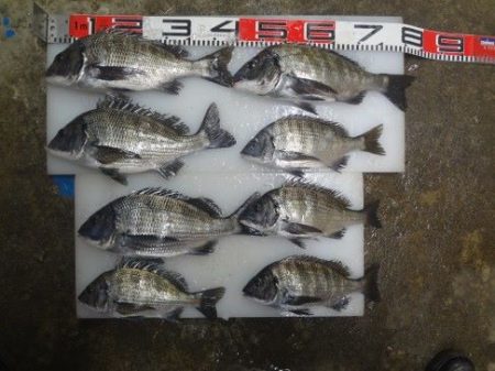 のとじま臨海公園海づりセンター 釣果