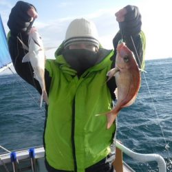 遊漁船 幸友丸 釣果