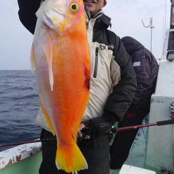 遊漁船 新鋭丸 釣果