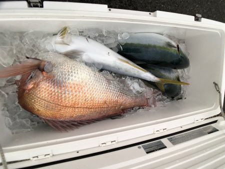 オーシャンズ　京都 釣果