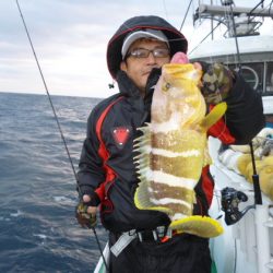 真祐丸 (しんゆうまる) 釣果